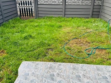 2 Bedroom Flat & Apartment